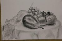 IMG 0291