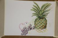 IMG 0490