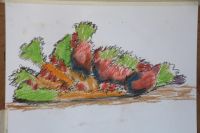 IMG 4662