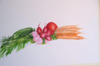 IMG 4686